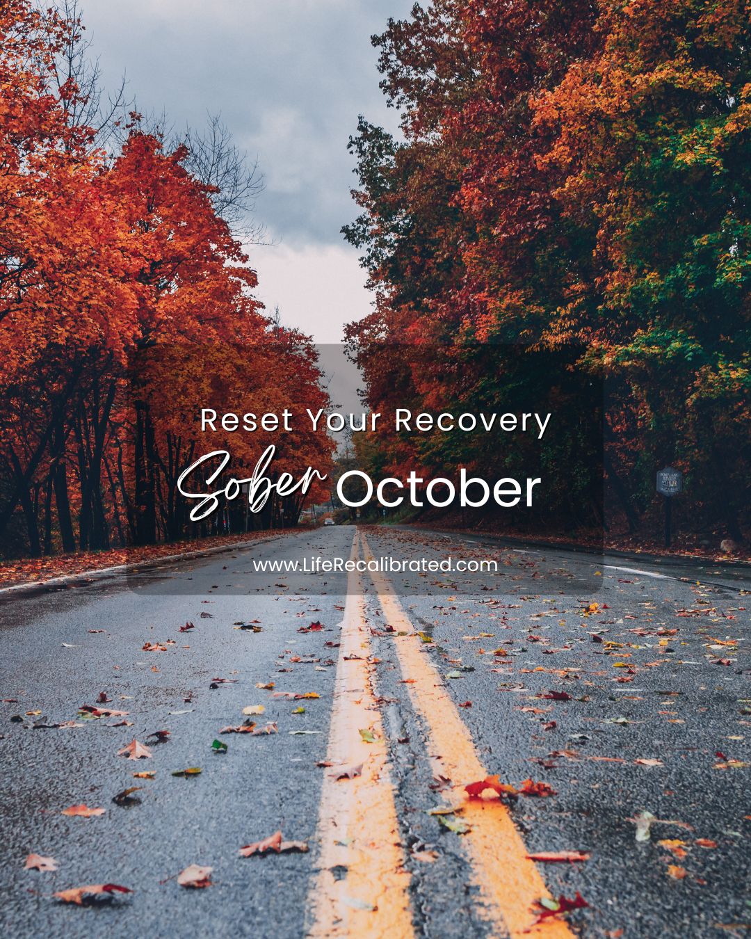 Sober October: A Reset In Recovery